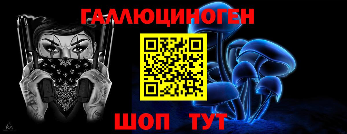 Галлюциногенные грибы Psilocybine cubensis Барабинск